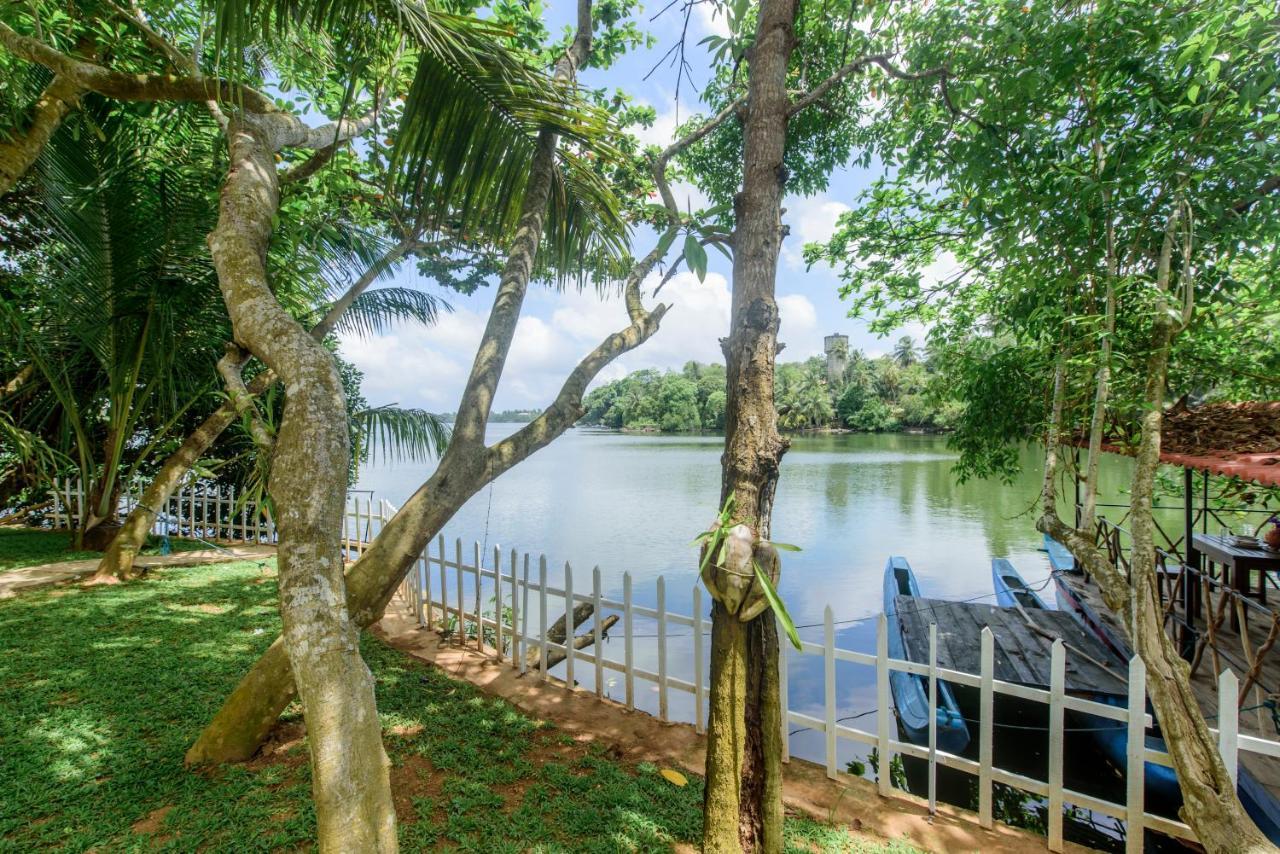 Scenery River Star Hotel Hikkaduwa Exterior photo